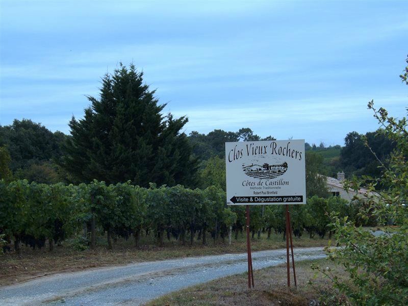 Clos Vieux Rochers Vineyard Пюиссеген Экстерьер фото