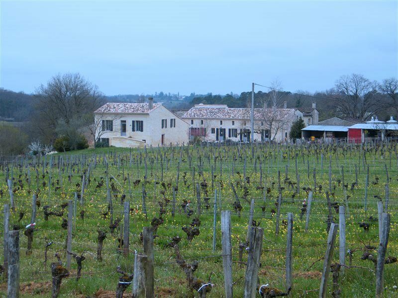Clos Vieux Rochers Vineyard Пюиссеген Экстерьер фото