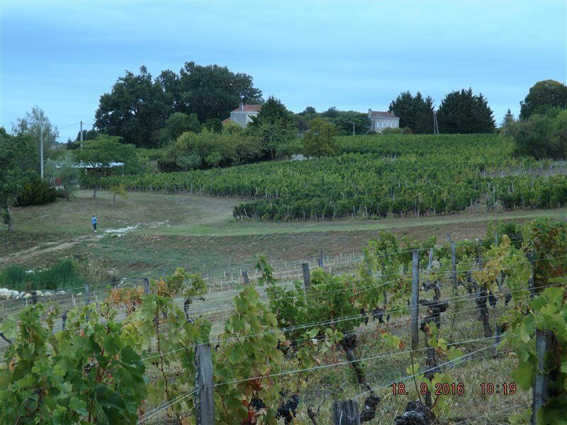 Clos Vieux Rochers Vineyard Пюиссеген Экстерьер фото